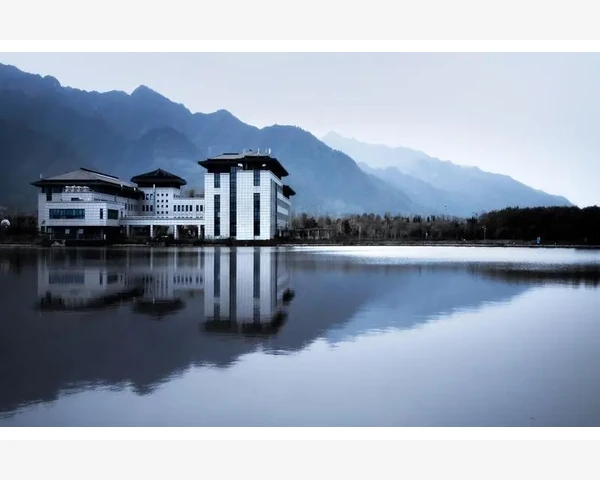中药调理：排湿气的奥秘